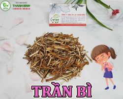 Mua bán trần bì tại Bắc Ninh hỗ trợ phòng và trị ho có đờm hiệu quả nhất