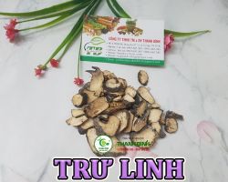 Mua bán trư linh tại Gia Lai có công dụng giảm thiểu chứng nôn mửa
