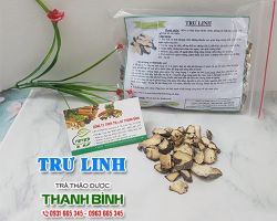 Mua bán trư linh tại quận Long Biên giúp điều trị nôn mửa uy tín nhất