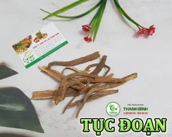 Mua bán tục đoạn tại Bạc Liêu có công dụng kháng viêm hiệu quả nhất