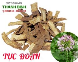 Mua bán tục đoạn tại quận 1 có tác dụng điều trị đau lưng mỏi gối