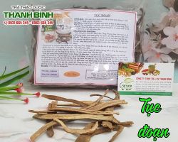 Mua bán tục đoạn tại quận Hoàng Mai có tác dụng lợi sữa sau sinh đẻ