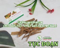 Mua bán tục đoạn tại Vũng Tàu có công dụng giảm đau nhức mỏi ở đầu gối