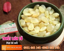Mua bán tuyết liên tử (hạt bồ mễ) ở quận Thủ Đức có công dụng tăng tiết sữa