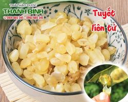 Mua bán tuyết liên tử (hạt bồ mễ) tại huyện Thạch Thất rất tốt cho tim mạch