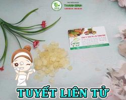 Mua bán tuyết liên tử tại Hòa Bình có công dụng giúp bù nước và khoáng chất rất tốt