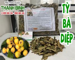 Mua bán tỳ bà diệp tại quận 11 có tác dụng chữa ốm nghén uy tín nhất