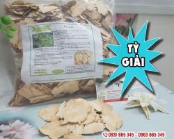 Mua bán tỳ giải ở huyện Nhà Bè điều trị đau mỏi tay chân do phong hàn thấp tỳ