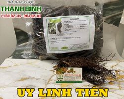 Mua bán uy linh tiên tại quận Hai Bà Trưng chữa hóc xương cá