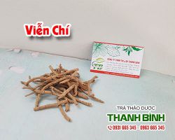 Mua bán viễn chí ở huyện Nhà Bè giúp bồi bổ do hao tổn trí lực lâu ngày