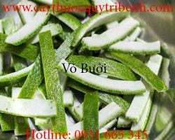 Mua bán vỏ bưởi khô tại Hà Nội phục hồi hói đầu kích thích tóc mọc