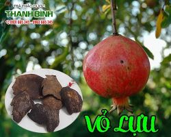 Mua bán vỏ lựu tại quận 4 hỗ trợ điều trị dạ dày tá tràng rất tốt