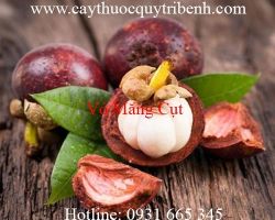Mua bán vỏ măng cụt tại quận 11 giúp khử hôi miệng hiệu quả nhất