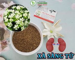 Mua bán xà sàng tử ở huyện Cần Giờ có công dụng điều trị hiếm muộn cho nữ