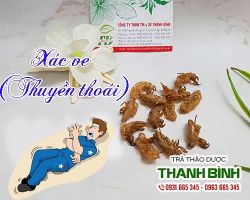 Mua bán xác ve tại huyện Quốc Oai chữa bệnh ho, khan tiếng
