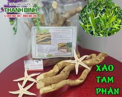 Mua bán xáo tam phân tại quận 7 có tác dụng chống độc