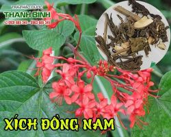 Mua bán xích đồng nam tại quận 9 có tác dụng chống viêm