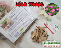 Mua bán xích thược tại quận 5 có tác dụng điều trị co thắt ruột an toàn nhất