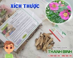 Mua bán xích thược tại quận Thanh Xuân chữa lợi răng sưng đau