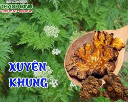 Mua bán xuyên khung chất lượng tại TPHCM