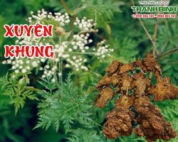 Mua bán xuyên khung tại quận 12 giúp trị bụng đau khi hành kinh