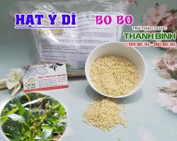 Mua bán ý dĩ (bo bo) tại huyện Sóc Sơn điều trị rối loạn tiêu hóa