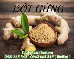Mua bột gừng ở đâu tại TPHCM ???