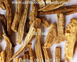 Mua cát cánh ở đâu tại tp hcm ???