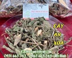 Mua cây an xoa ở đâu tại TPHCM giá tốt nhất?