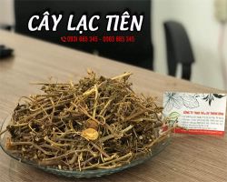 Mua cây lạc tiên uy tín chất lượng tại Tphcm