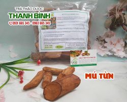 Mua cây mú từn (Cù boong nậu) ở đâu tại tphcm ???