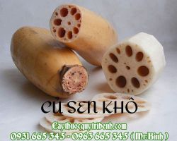 Mua củ sen khô ở đâu tại TPHCM ???