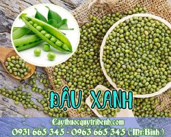Mua đậu xanh ở đâu tại TPHCM???