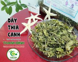 Địa chỉ bán dây thìa canh ở đâu ???
