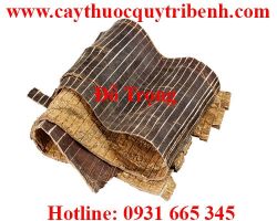 Mua đỗ trọng ở đâu tại tp hcm ???