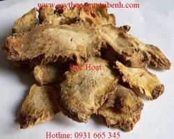 Mua độc hoạt ở đâu tại tp hcm ???