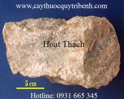 Mua hoạt thạch ở đâu tại tp hcm ???