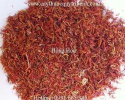 Mua hồng hoa ở đâu tại tp hcm ???