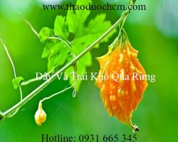 Mua khổ qua rừng ở đâu tại tp hcm ???