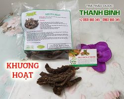 Mua khương hoạt giá rẻ uy tín chất lượng nhất ở đâu?