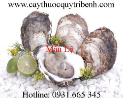 Mua mẫu lệ ở đâu tại tp hcm ???