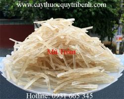 Mua mủ trôm ở đâu tại tp hcm ???