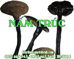 Mua nấm trúc ở đâu tại TPHCM ???