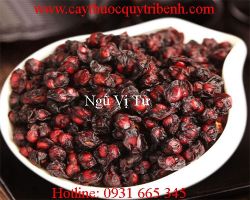 Mua ngũ vị tử ở đâu tại tp hcm ???