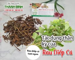 Mua rau diếp cá nguyên chất tại Thảo dược Thanh Bình