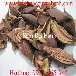Mua sâm đại hành ở đâu tại tp hcm ???