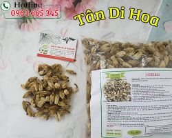 Mua tân di hoa giá rẻ uy tín chất lượng nhất ở đâu?