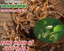 Mua tang bạch bì (rễ cây dâu) ở đâu tại tphcm ???