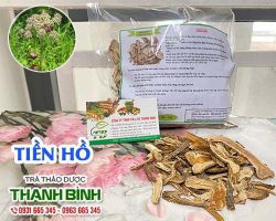 Mua bán tiền hồ tại quận 1 có công dụng điều trị ho hiệu quả nhất