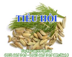 Mua tiểu hồi ở đâu tại TPHCM ???